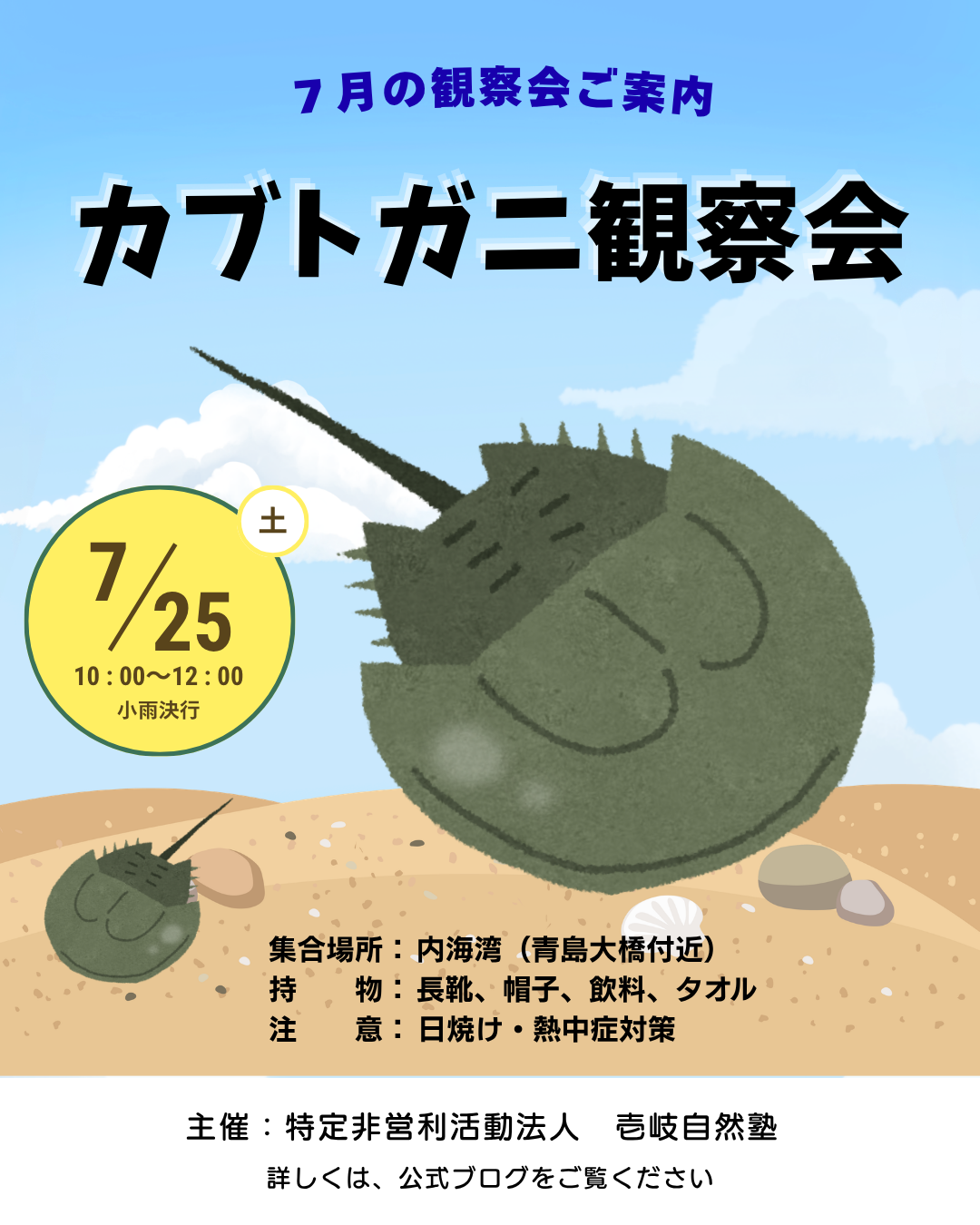7月観察会 カブトガニ観察会